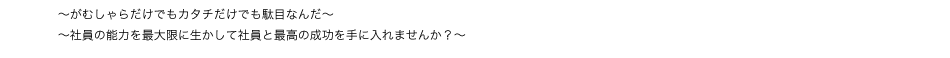 <h3>〜がむしゃらだけでもカタチだけでも駄目なんだ〜 〜社員の能力を最大限に生かして社員と最高の成功を手に入れませんか？〜</h3>